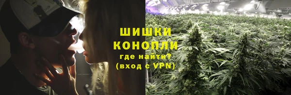 мяу мяу мука Нея