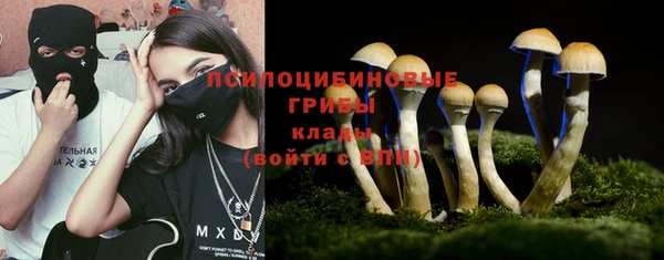 стаф Абдулино